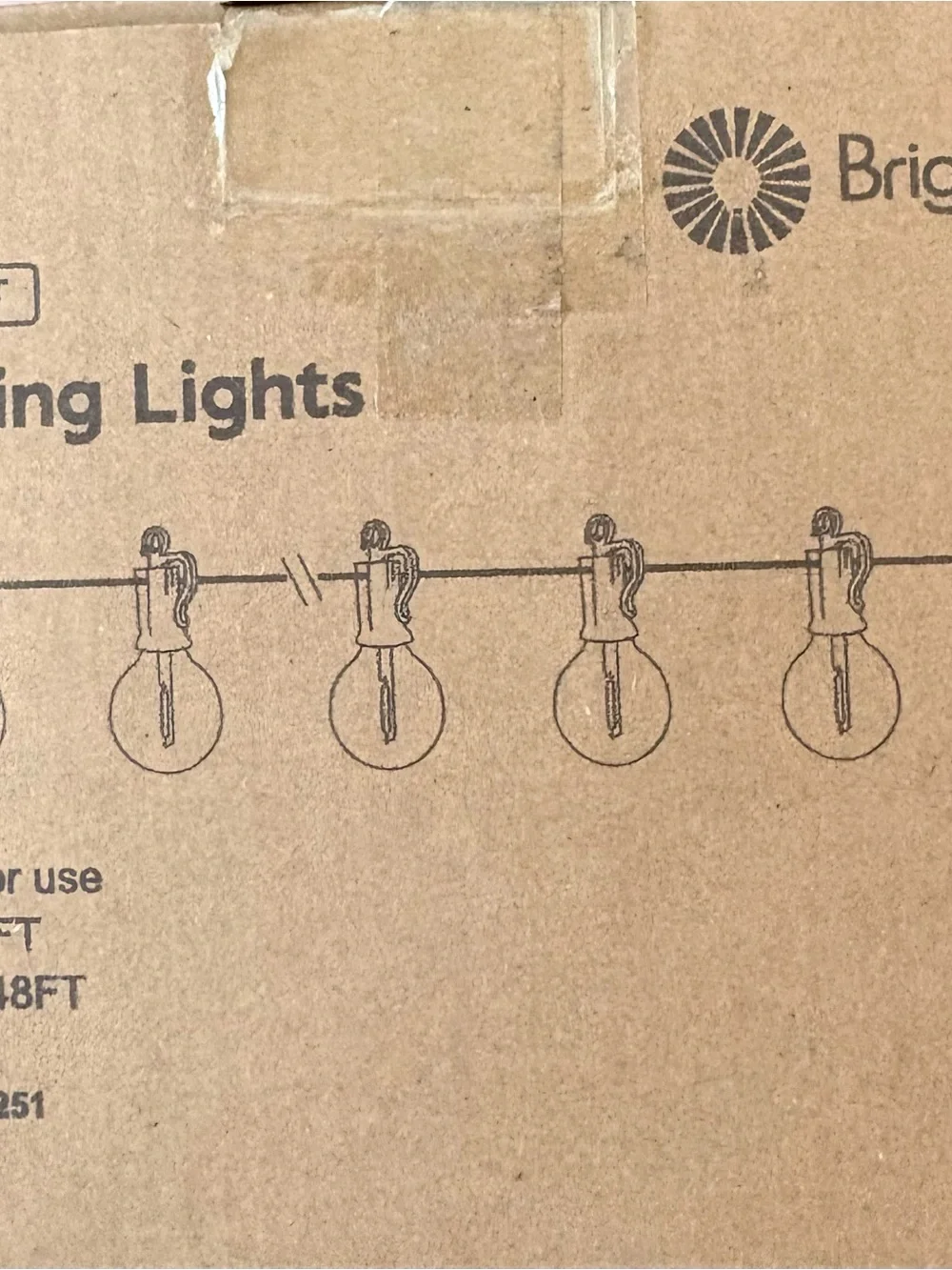 Black Outdoor G40 Globe String Lights - Warm White Bulbs